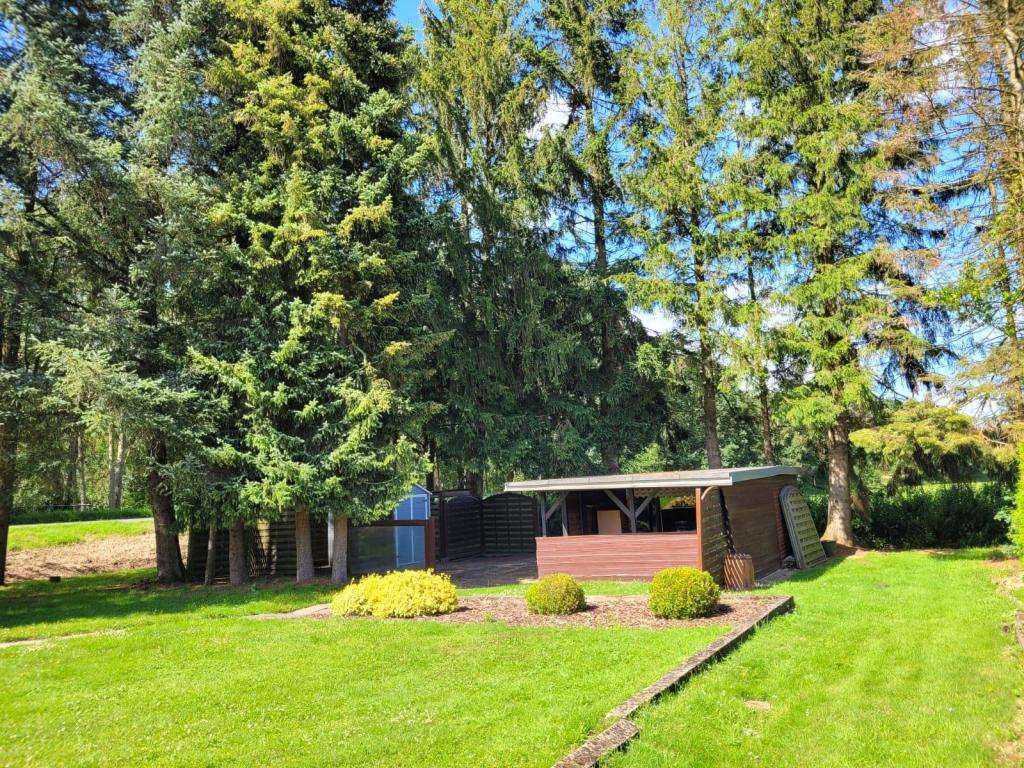 Gartenansicht Einfamilienhaus: Gartenansicht