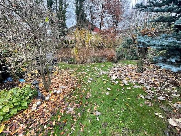 Blick in den Garten Reihenhaus: Blick in den Garten